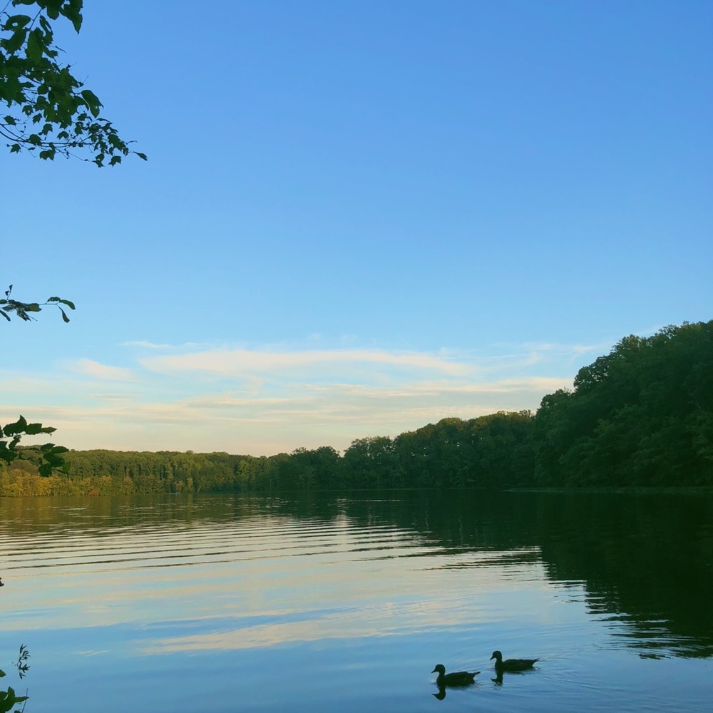 Meet your Posher, Zach